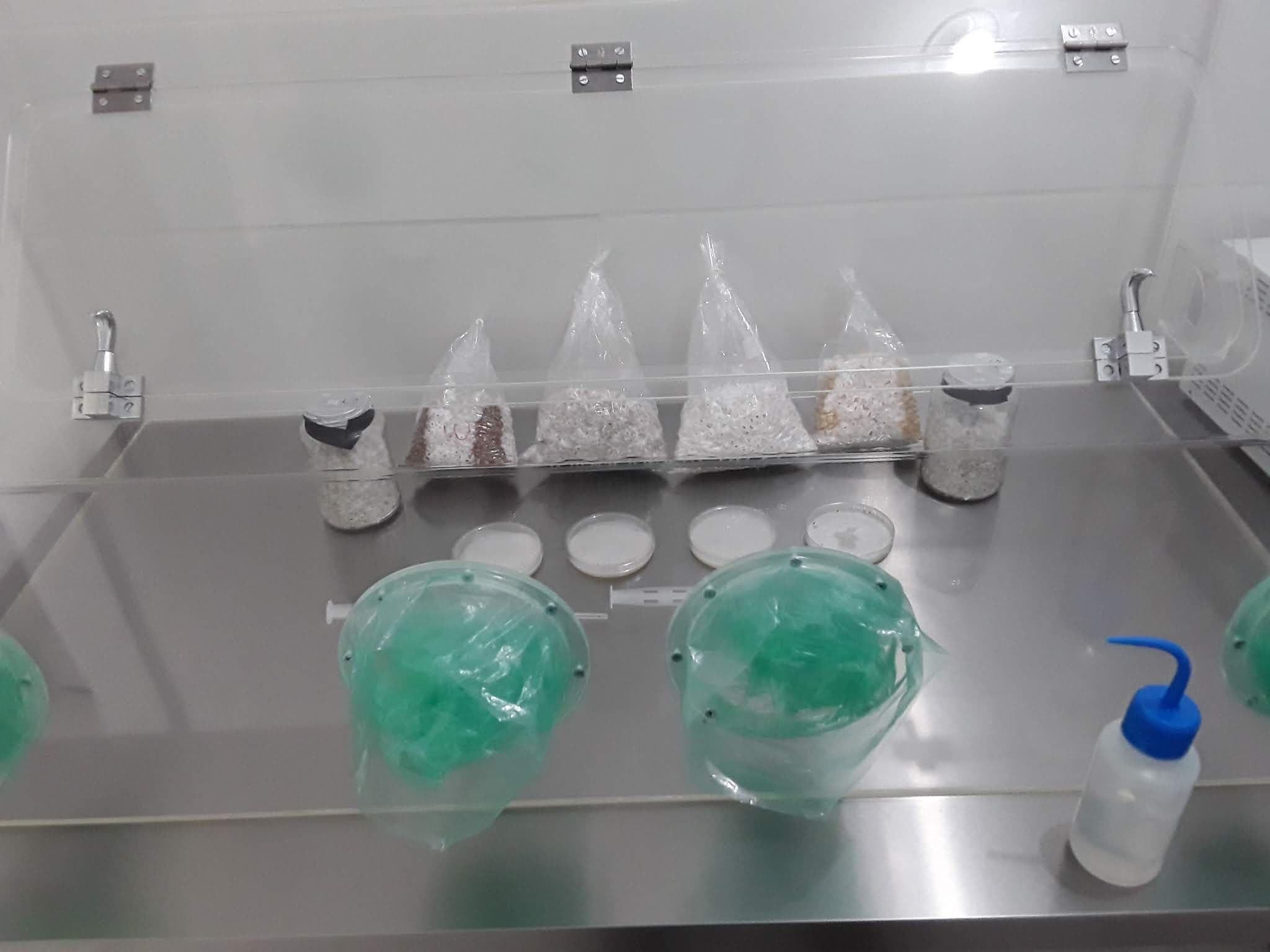 Equipamentos econômicos