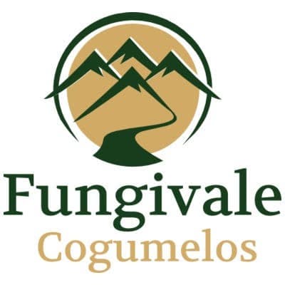 Fungivale